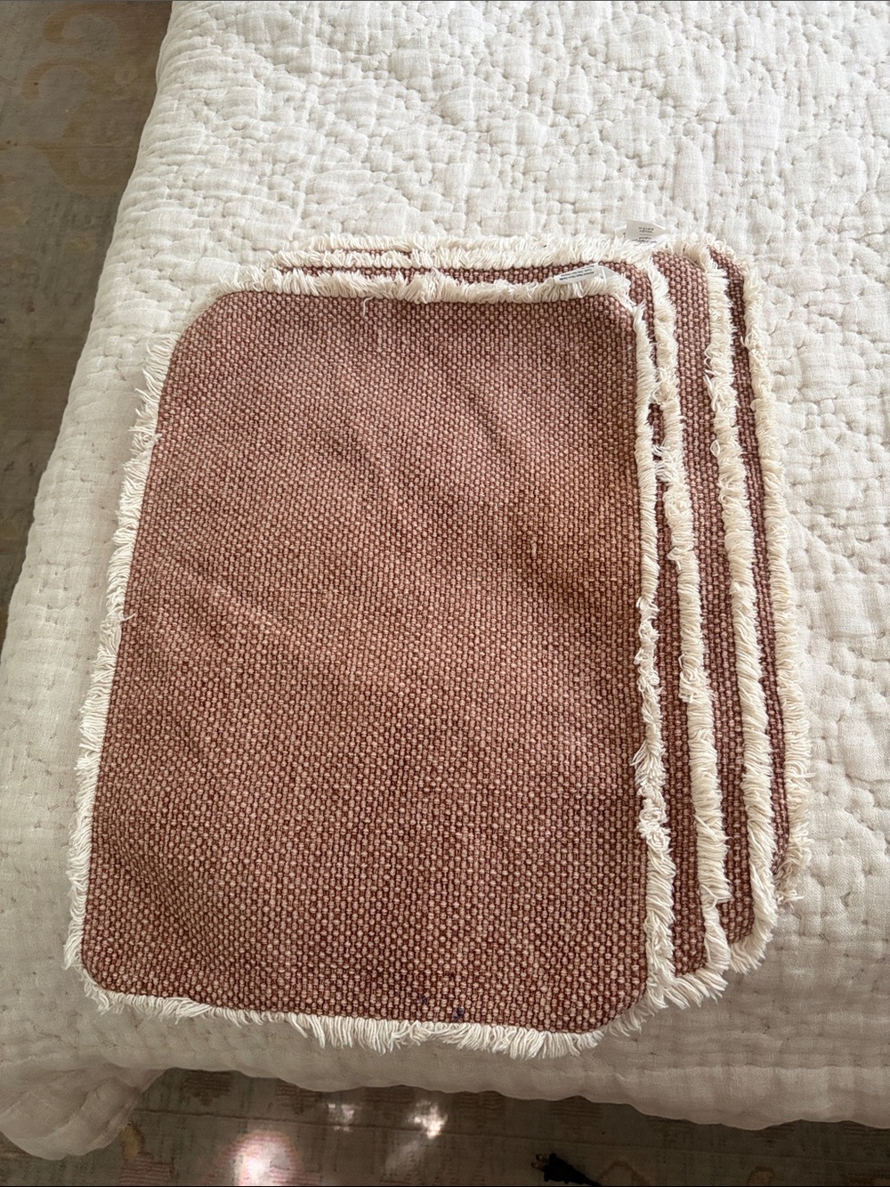 Set of 4 Pottery Barn Woven Rustic Fringed Placemats